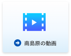 南島原の動画