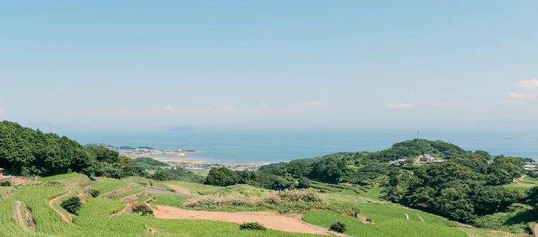 基本情報