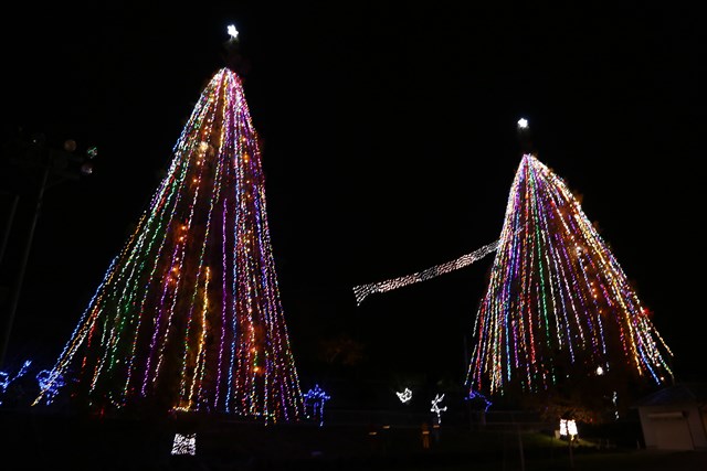 高さ30メートルの巨大クリスマスツリー