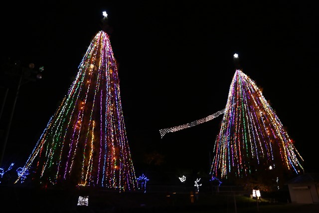 高さ30メートルの巨大クリスマスツリー 高さ30メートルの巨大クリスマスツリー