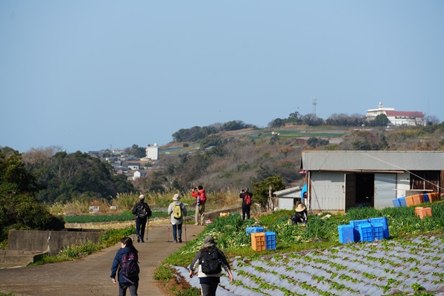 （HP4）オルレDSC03543 - コピー