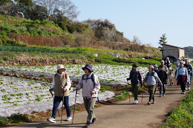 （HP3）オルレDSC03532 - コピー