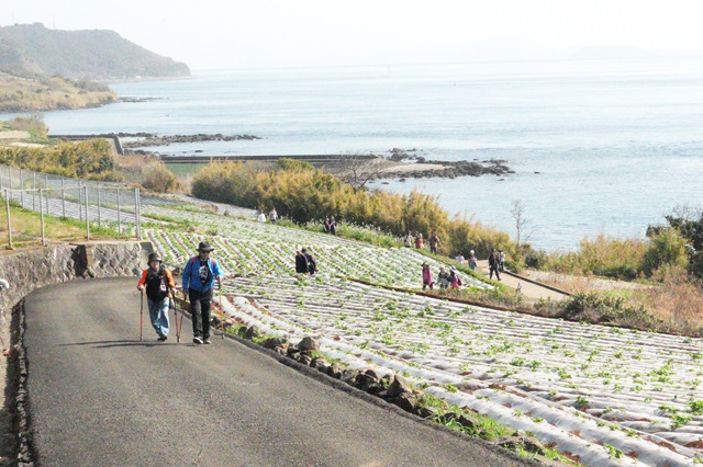 （HP5）オルレDSC03593 - コピー