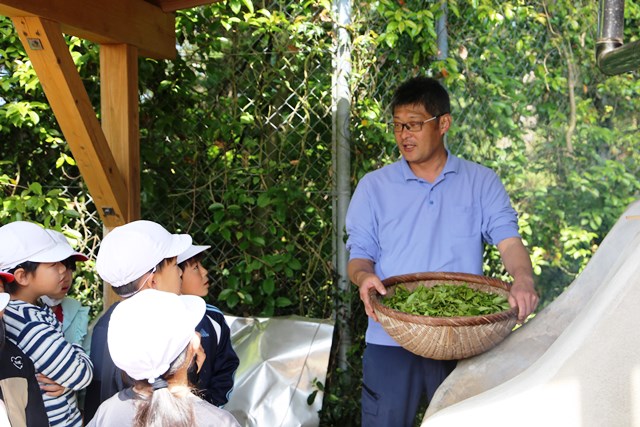 茶葉を炒る作業を説明する地域の方