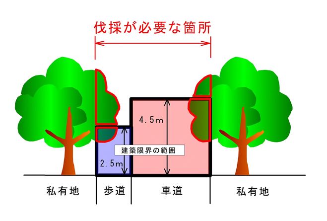 伐採・剪定範囲イメージ図