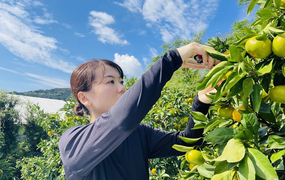 トップ写真（吉永智美さん）