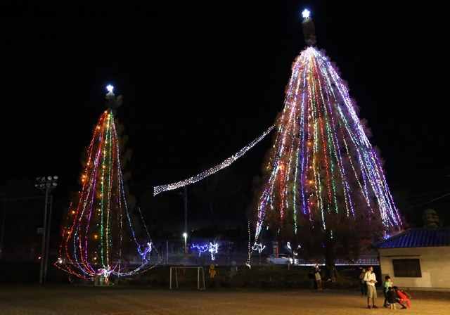日本最大級30mクリスマスツリー