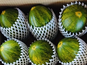 パパイヤメロン