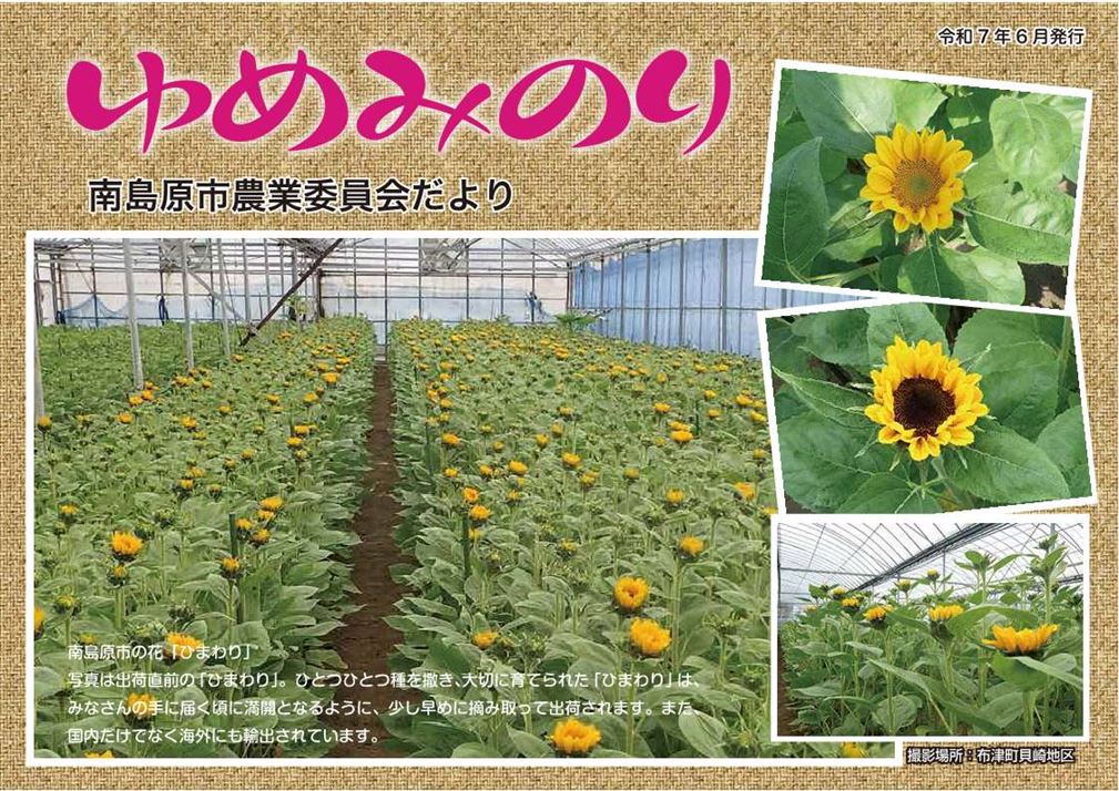 令和7年6月発行ゆめみのり表紙