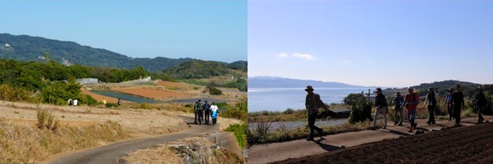 オルレコース④