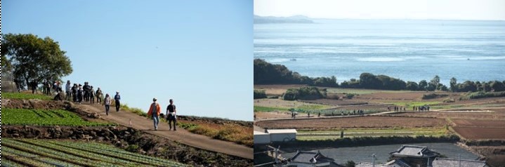 オルレコース②