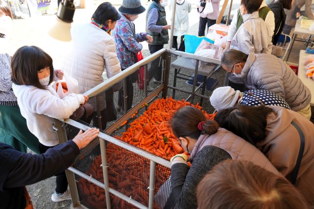 （）にんじん詰め放題DSC00508 - コピー