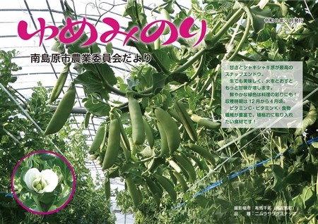 ゆめみのり3月号