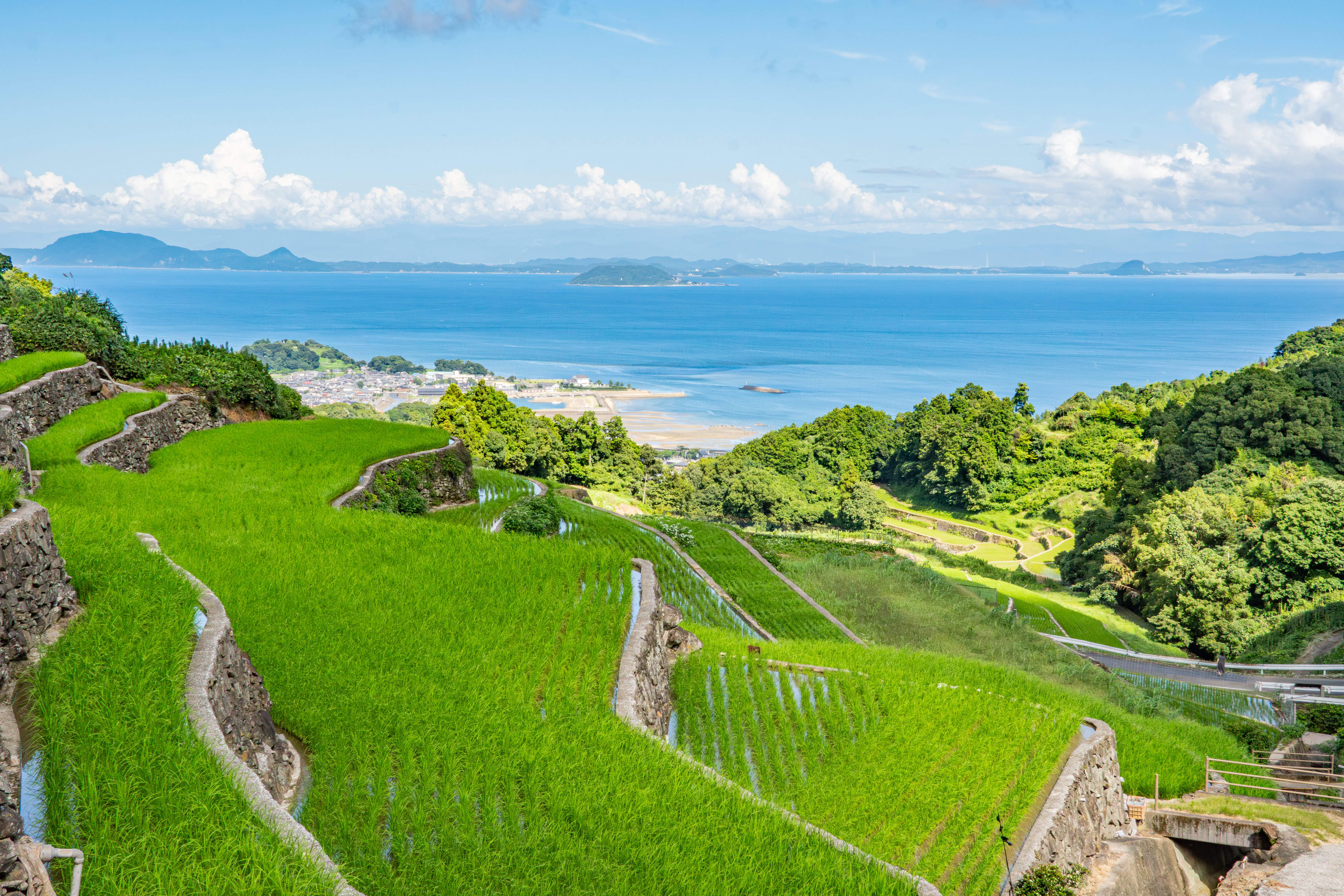 No15_夏色に染まる海と棚田