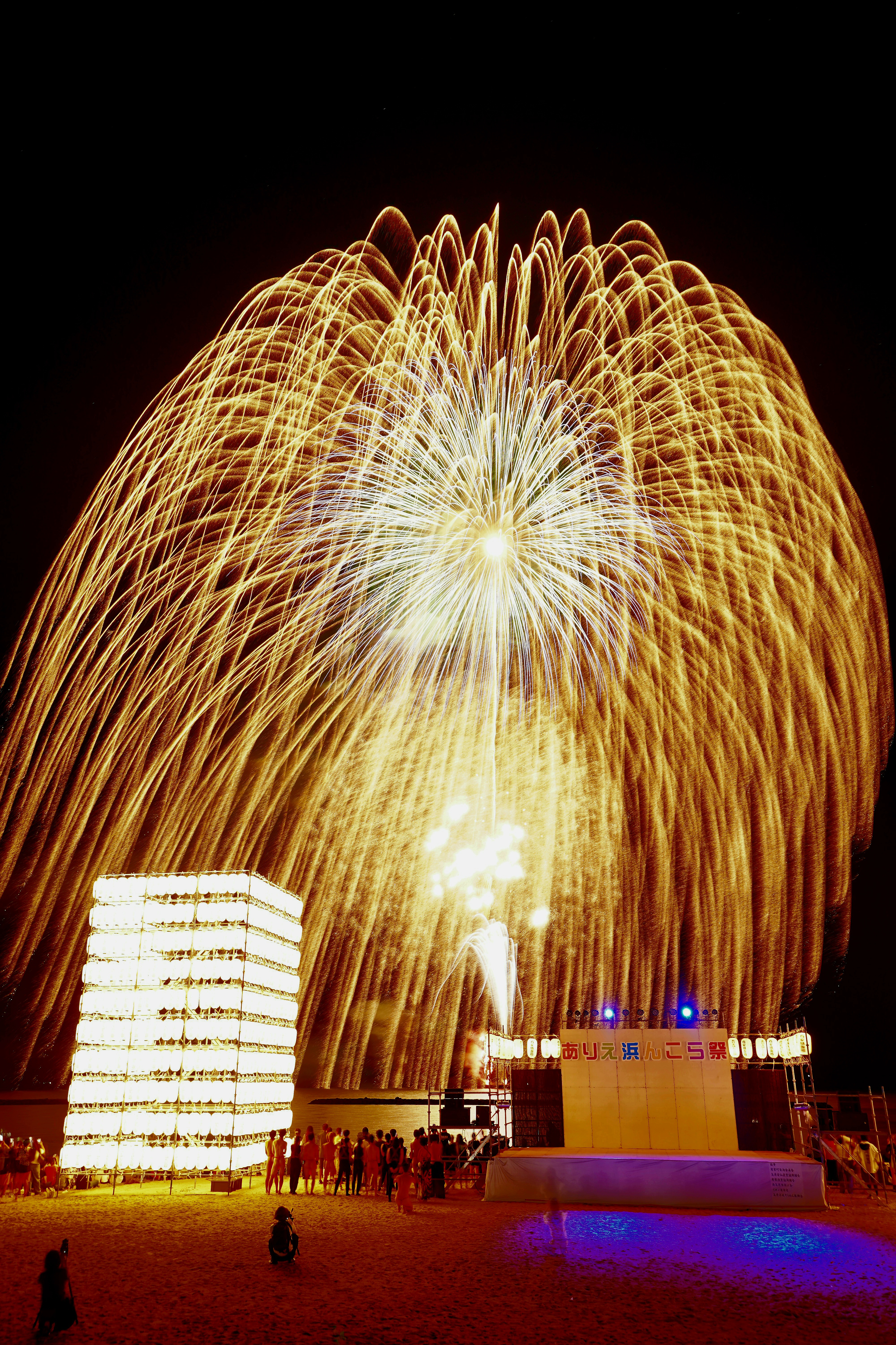 No1_夜空に大輪の花を咲かせて
