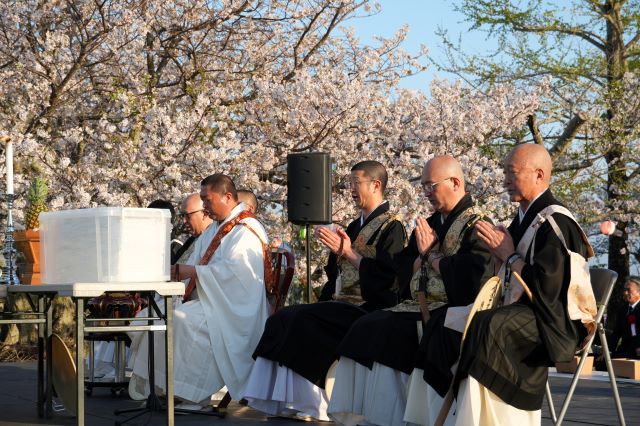 （）DSC05449 - コピー