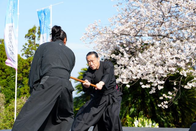 兵法タイ捨流（演舞）（）DSC05365 - コピー