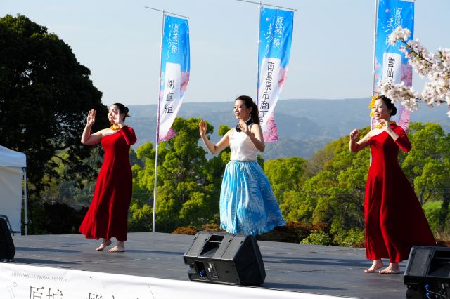 ラウレア（フラダンス）（）DSC05378 - コピー