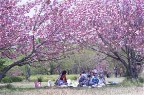 ありえ俵石自然運動公園