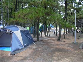 白浜海水浴場　キャンプ場