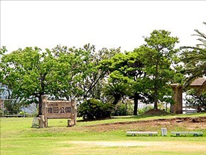 権田公園
