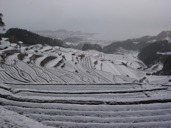 冬の谷水棚田