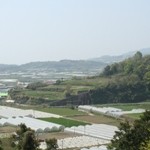 日野江城跡