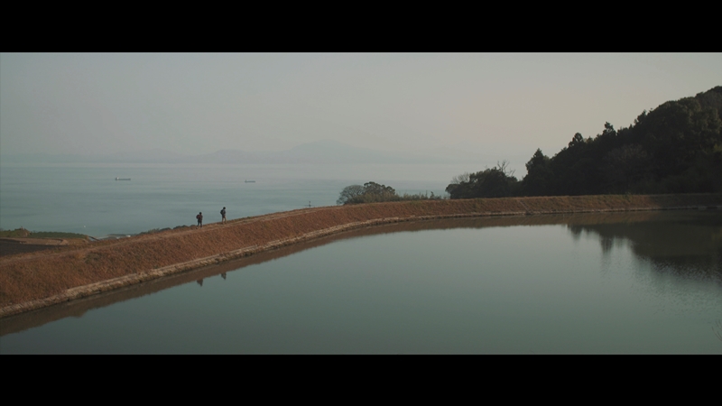 矢竹の堤 矢竹の堤