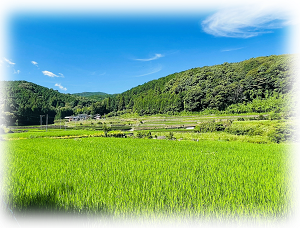 田園風景（西有家町）