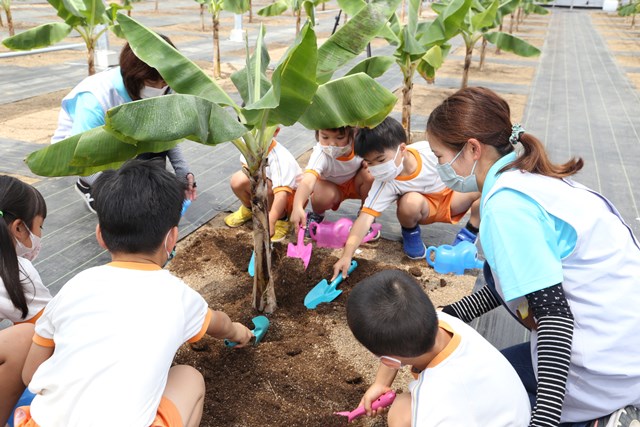 植栽を行う白百合保育園の園児1 植栽を行う白百合保育園の園児1