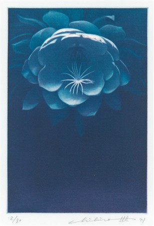 渡辺千尋≪幻花Ⅱ≫